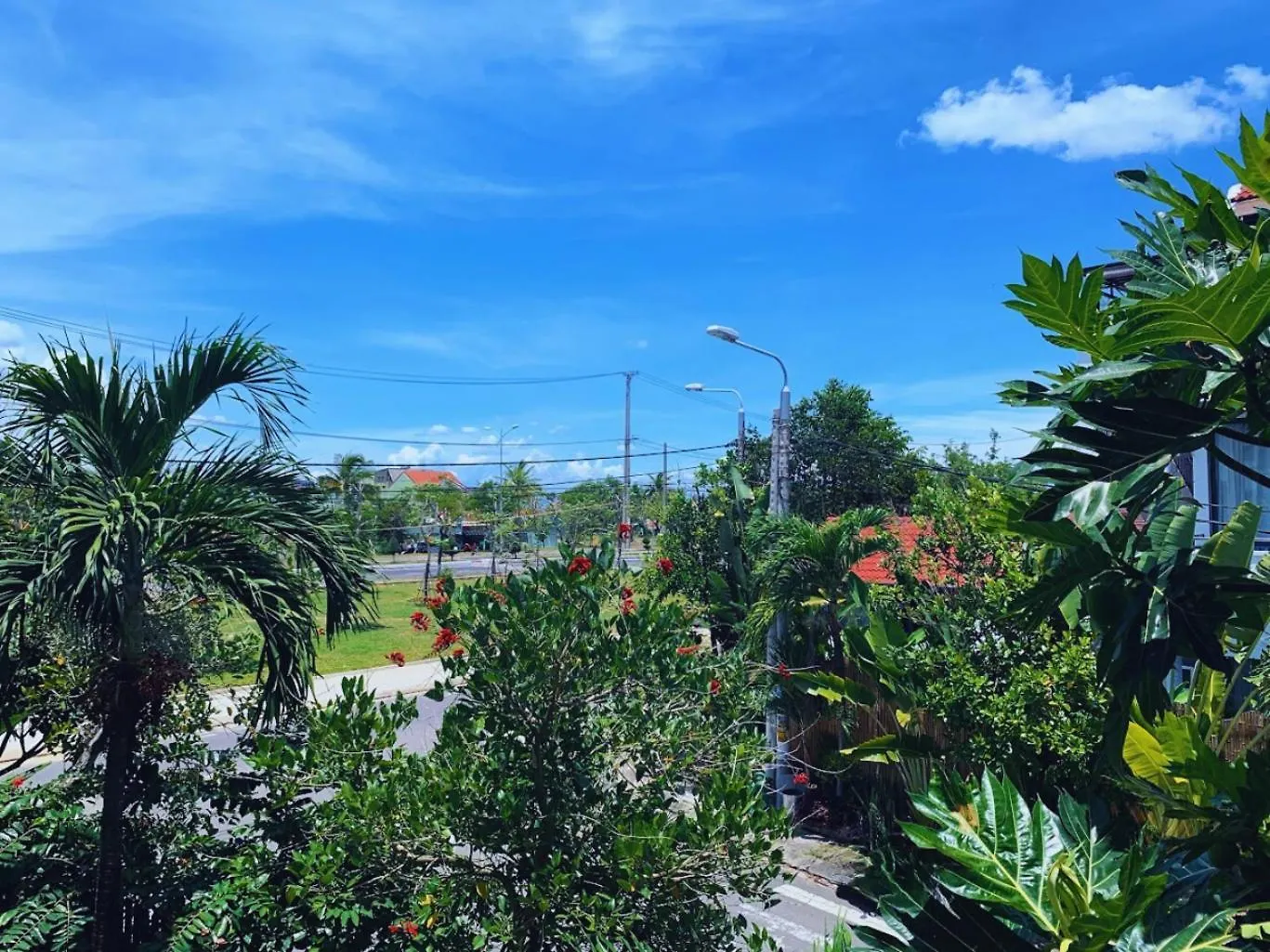 Homestay Ocbien Hoi An