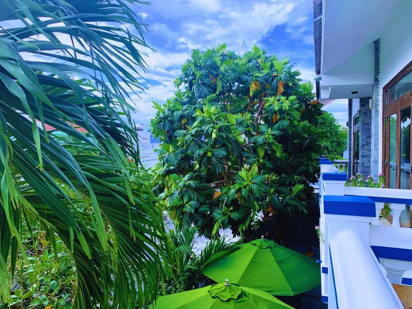 Homestay Ocbien Hoi An